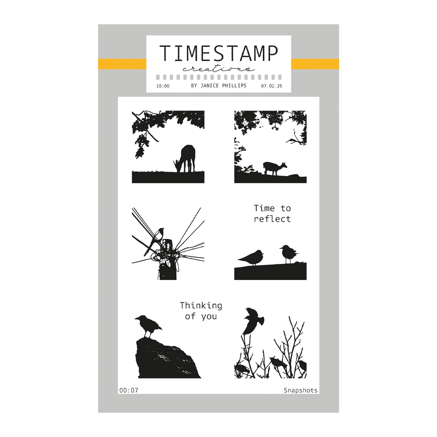 Timestamp Creations by Janice Phillips - Snapshots A6 Stamp Set