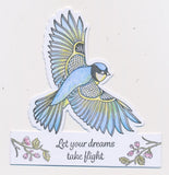 Slow Down with Clarity Cut Card Kit - Garden Bird Collection & Deluxe Book Box Storage