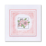 KISS by Clarity - Tina's Flowers Sampler & Thinking of You Flowers A4 & A7 Stamp Duo