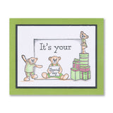 BIP the Bear Essentials A5 Stamp & Mask Collection with FREE A7 Stamp Set Worth £7.99