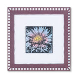 Dippy Toe Lady & Company Sampler A4 Stamp Set