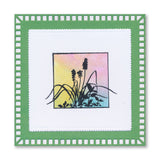 Dippy Toe Lady & Company Sampler A4 Stamp Set