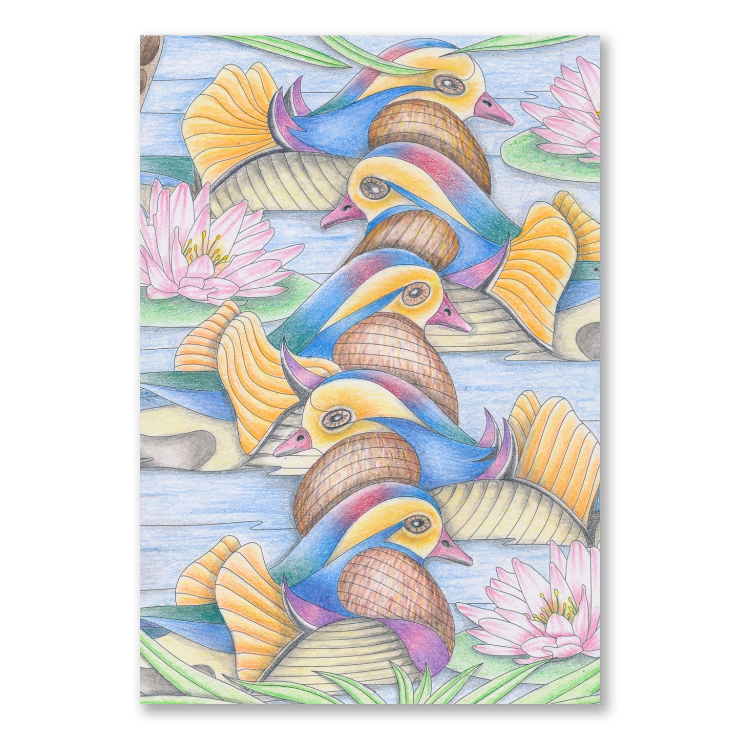 Colouring Postcards - Feathered Friends Collection Set 1