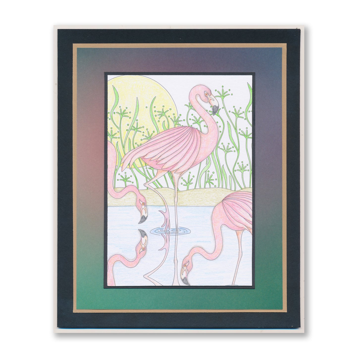 Feathered Friends Postcards & Bookmarks Collection