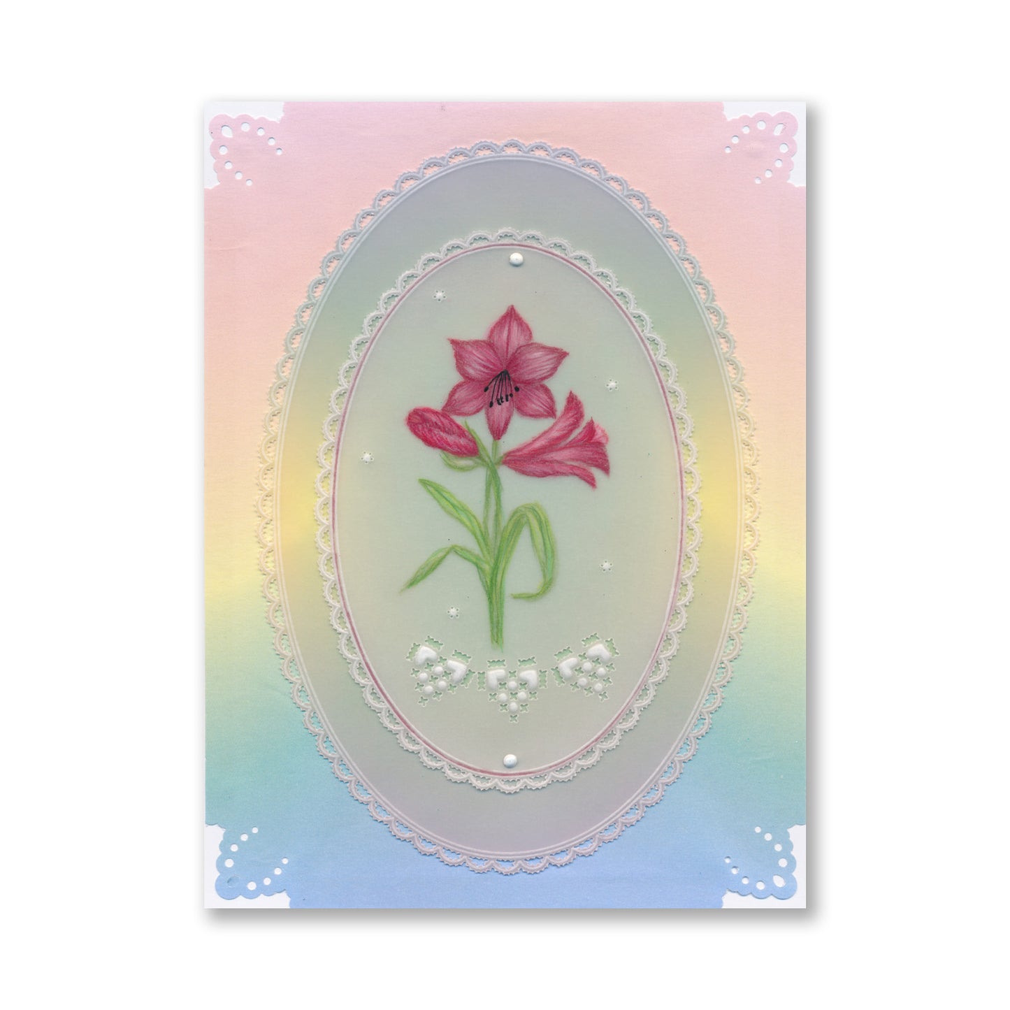 Linda's Amaryllis A6 Groovi Plate