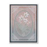 Barbara's Star Flower Spray A6 Groovi Plate