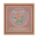 Jayne's Rose & Lattice A5 & A5 Square Groovi Plate Collection