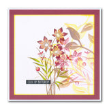 Barbara's Star Flower Spray A5 & A6 Stamp & Stencil Collection