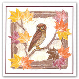 Feathered Friends A5, A5 Square & A6 Stamp & Mask Collection