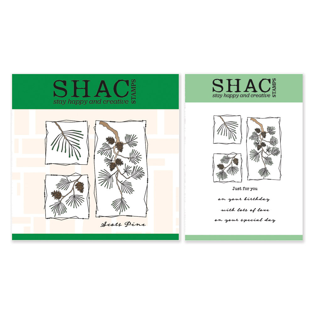 Barbara's SHAC Scots Pine Floral Panels A5 Square & A6 Stamp & Mask Duo