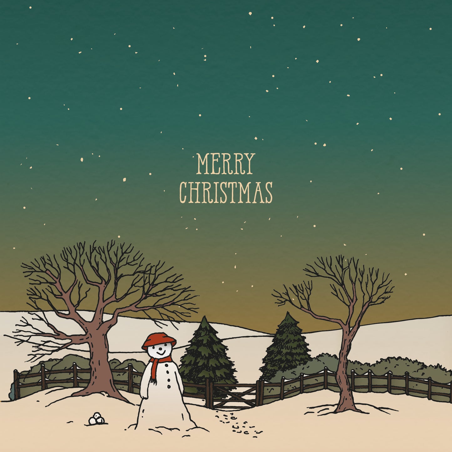 £30 Christmas Gift Card