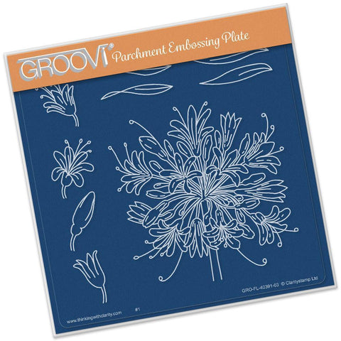 Jayne's Agapanthus A5 Square Groovi Plate