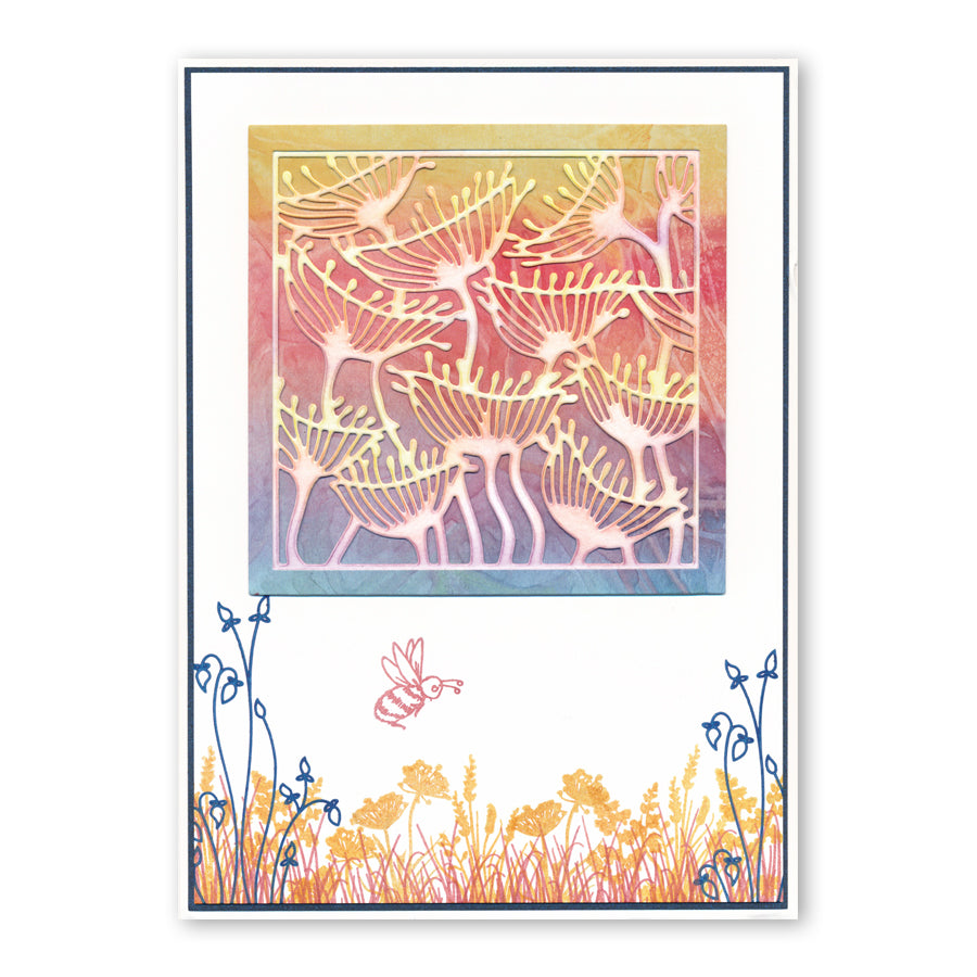 Seeds & Pods Aperture Quartet Clarity Fresh Cut Dies