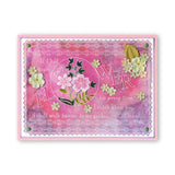 Daisy & Friends Round A6 Square Groovi Baby Plate