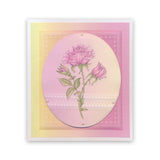 Frosted Floral Overlay Pack - Rose