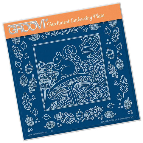 Woodland Squirrel & Frame A5 Square Groovi Plate