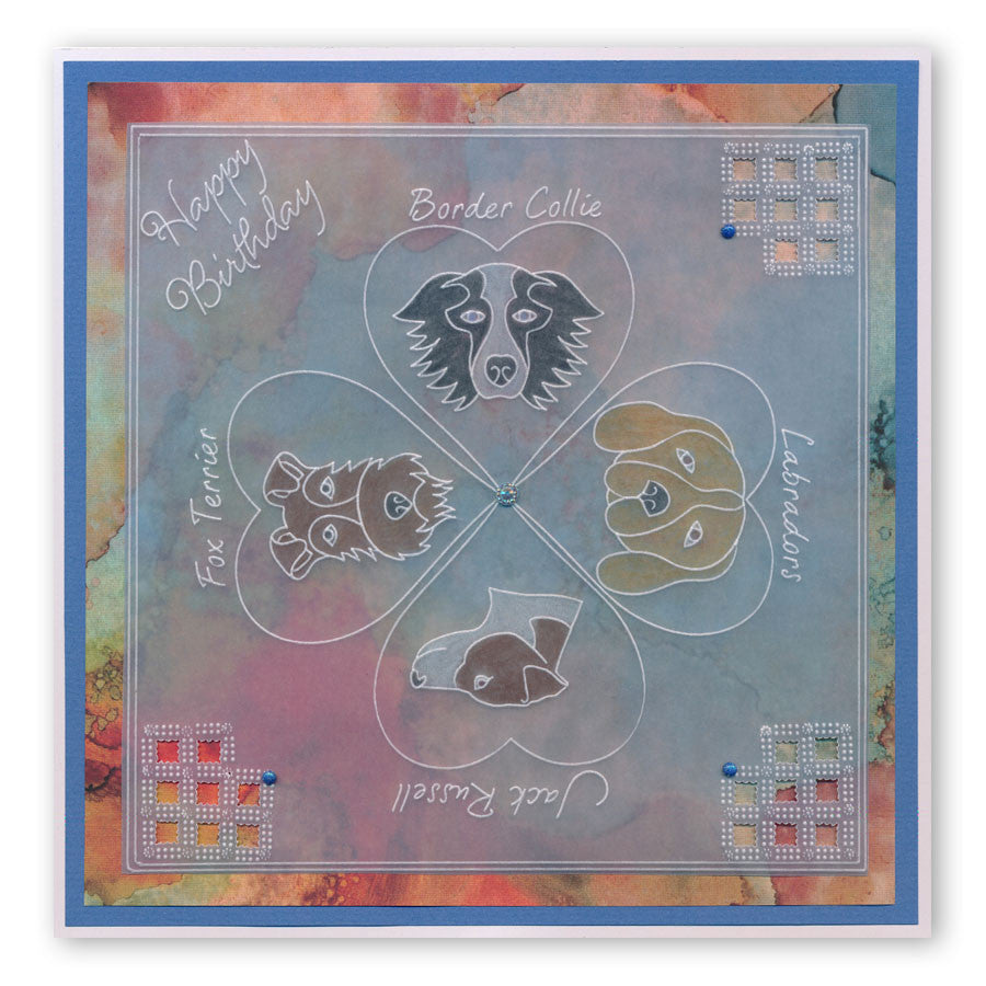 Labradors A6 Square Groovi Baby Plate