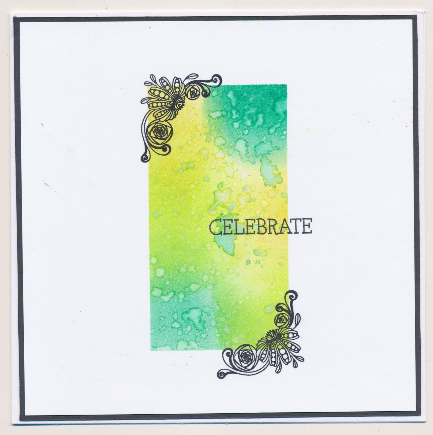 A7 KISS by Clarity - Tina's Celebrate Flowers Stamp Set