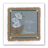 Occasions Groovi Border Plate