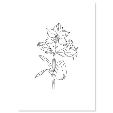 Linda's Amaryllis - A5 Printed Florals Parchment