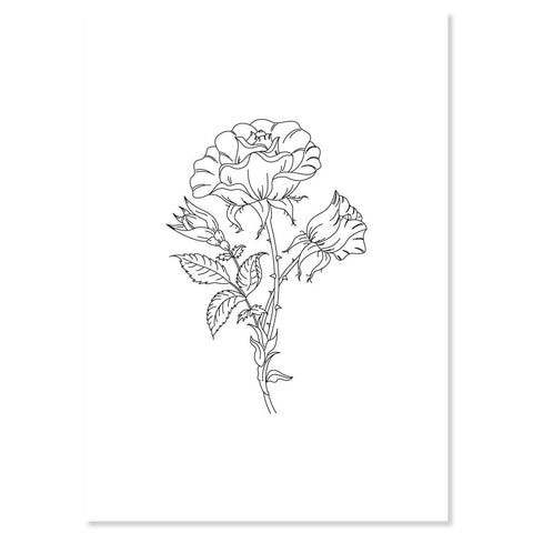 Linda's Rose - A5 Printed Florals Parchment