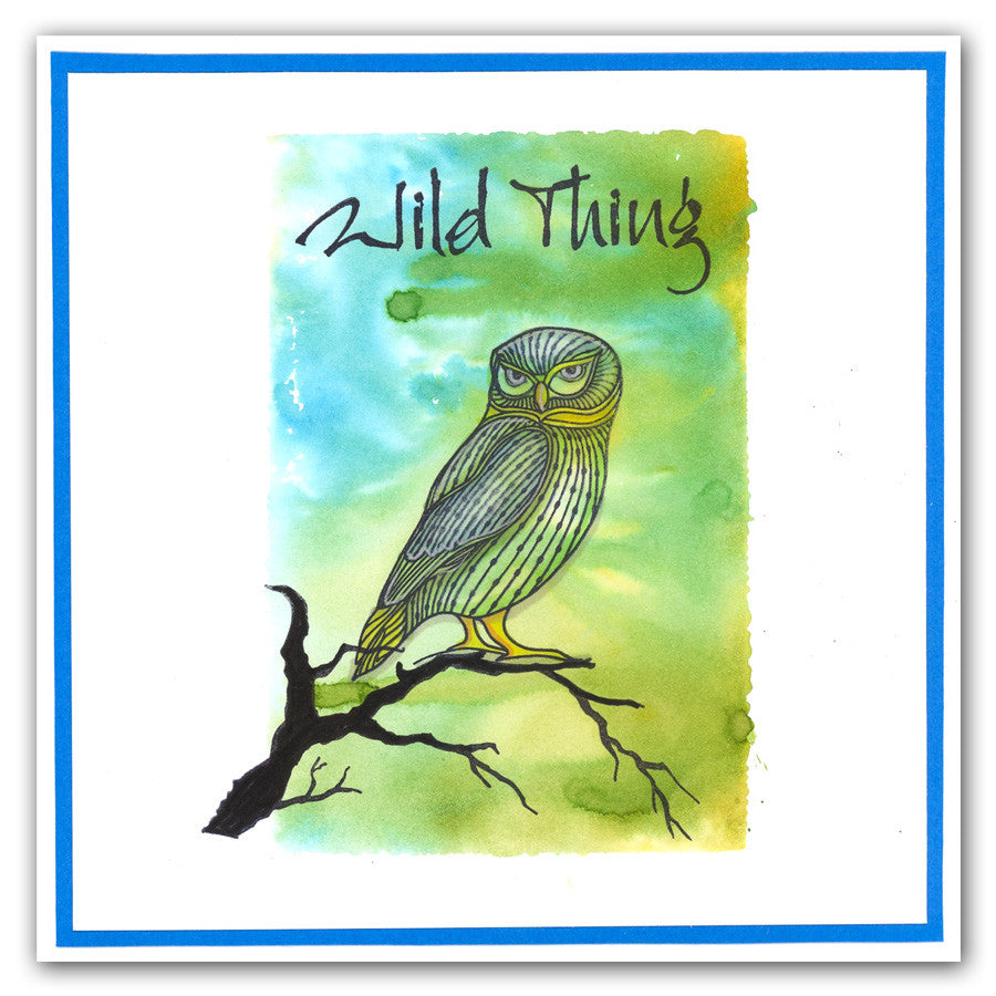 Wise Owls A5 Square Stamp & Mask Set