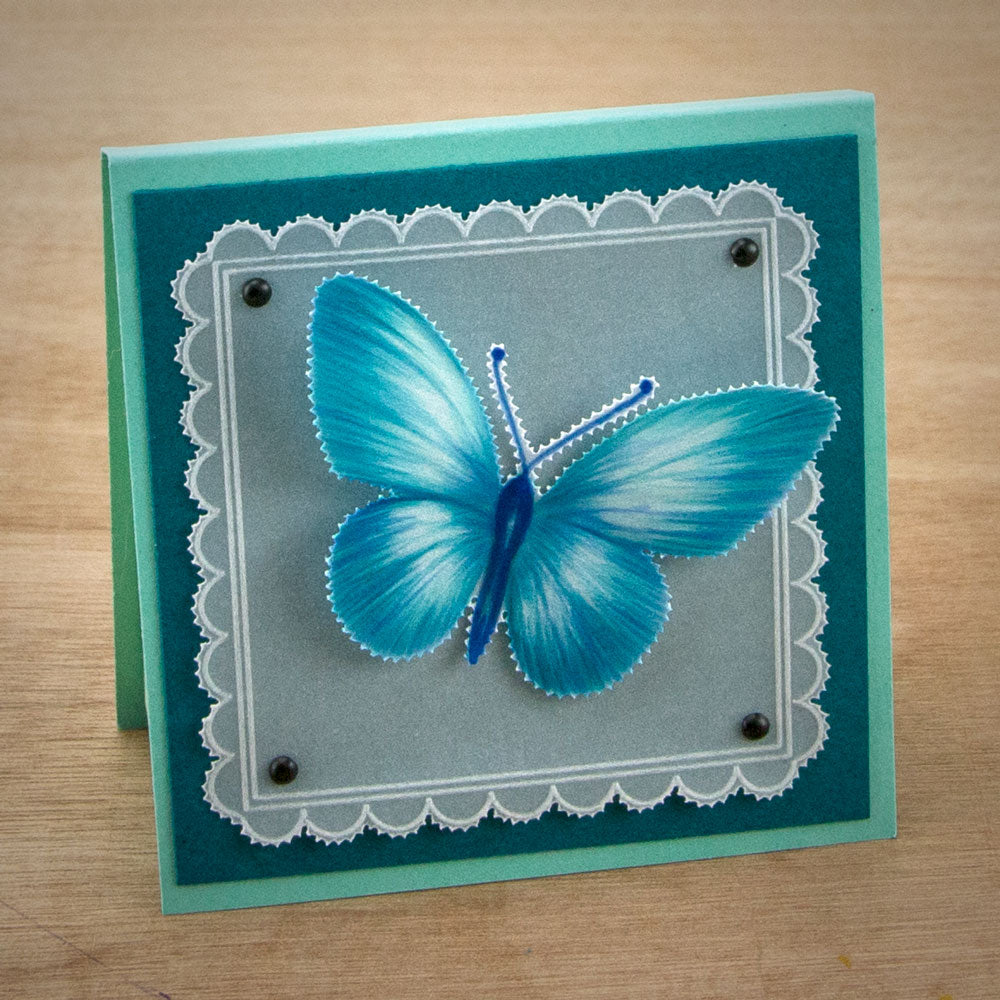 Tina's Butterfly Fun A5 Square Groovi Plate