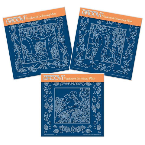 Woodland Animals & Frames Trio A5 Square Groovi Plate Set