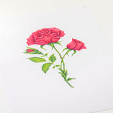 Frosted Floral Overlay Pack - Rose