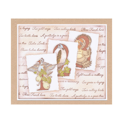 Barbara's 12 Days of Christmas A4 Stamp Set