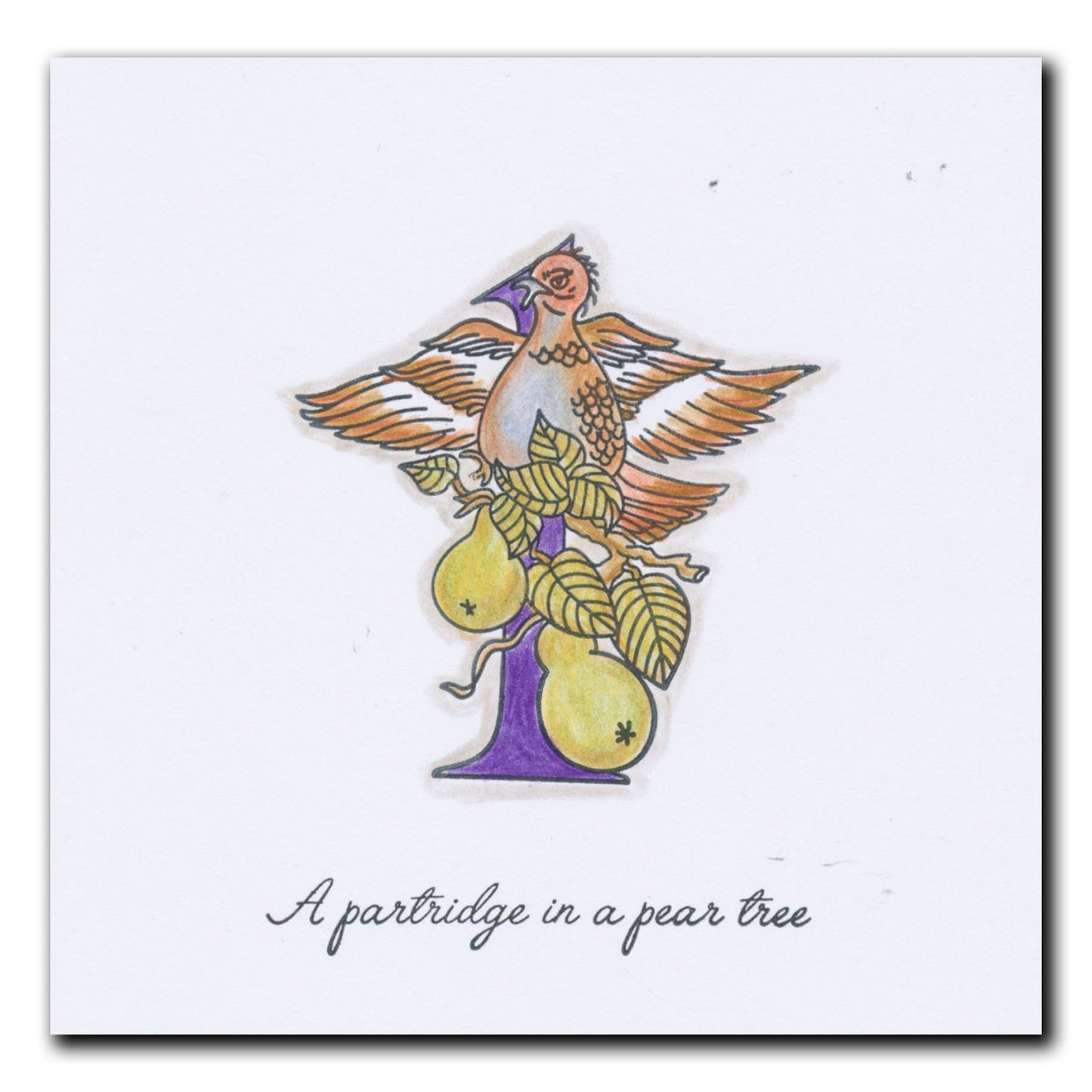 Barbara's 12 Days of Christmas A4 Stamp Set & Cube Boxes