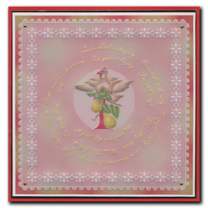 Barbara's 12 Days of Christmas A4 Groovi Plate