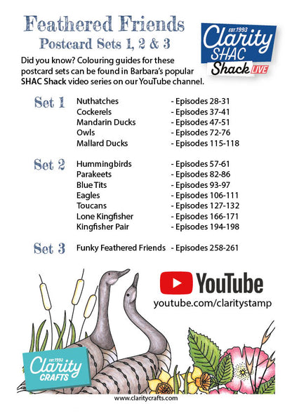 Colouring Postcards - Feathered Friends Collection Set 1