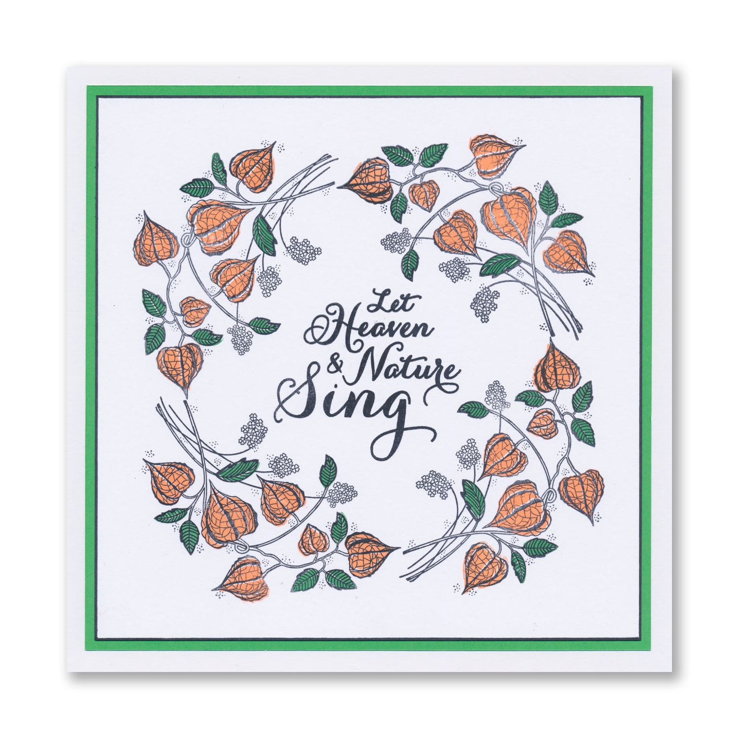 Barbara's Chinese Lantern Spray A6 Stamp Set