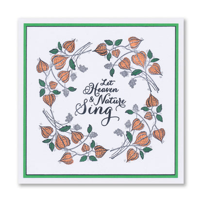 Barbara's Chinese Lantern Spray A6 Stamp Set