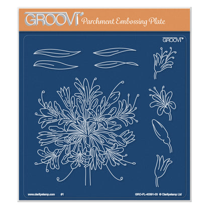 Jayne's Agapanthus A5 Square Groovi Plate