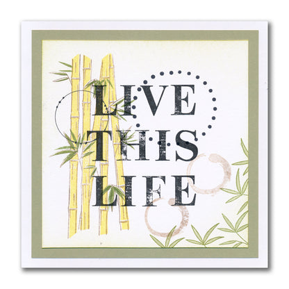 Barbara's SHAC Enso Enlightenment A5 Square Stamp Set