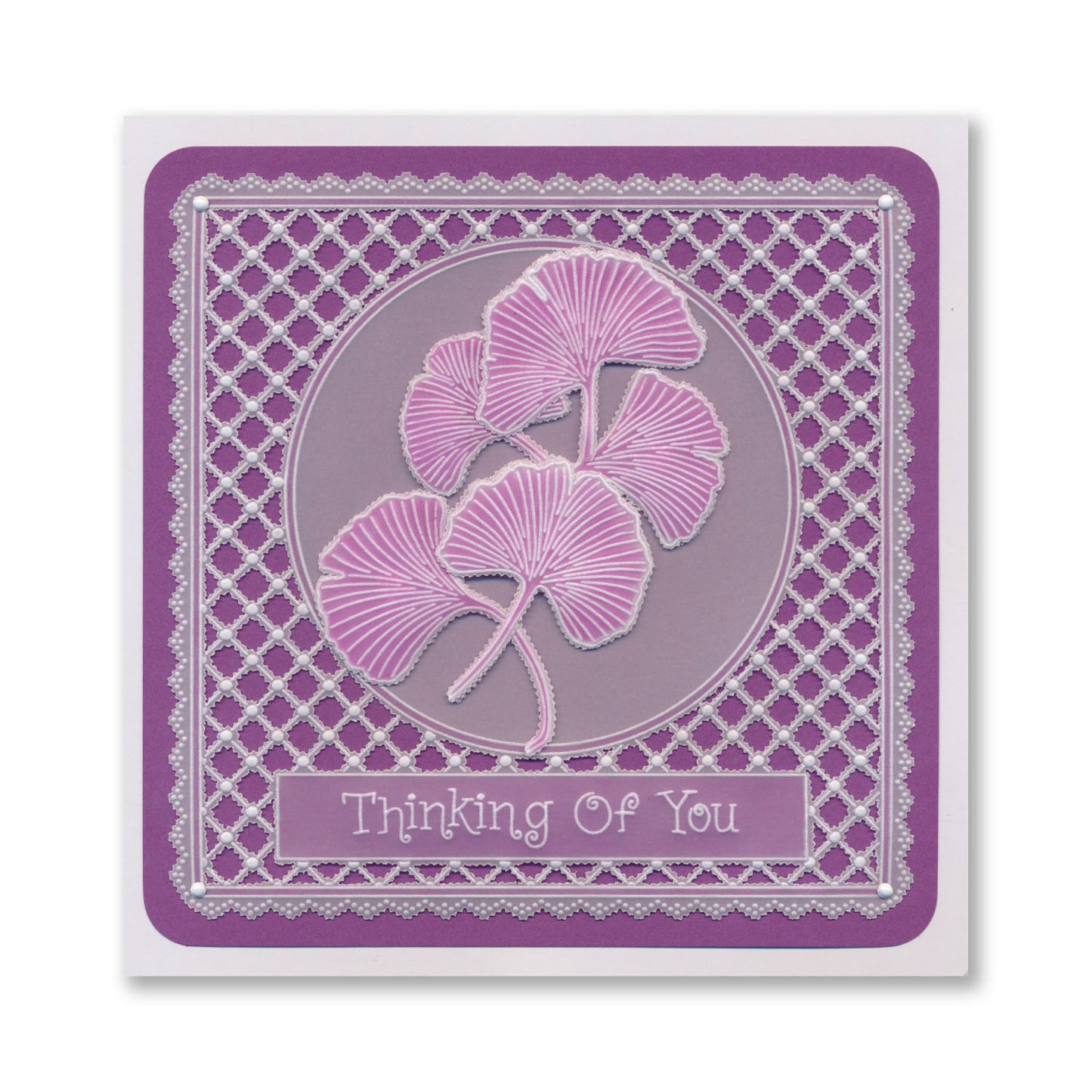 Barbara's Ginkgo Spray A6 Groovi Plate