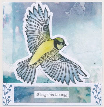 Slow Down with Clarity Cut Card Kit - Garden Bird Collection & Deluxe Book Box Storage