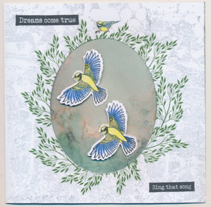Slow Down with Clarity Cut Card Kit - Garden Bird Collection & Deluxe Book Box Storage