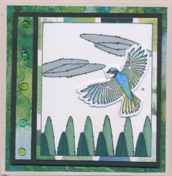 Clarity Cut Card Kit - Garden Bird Set