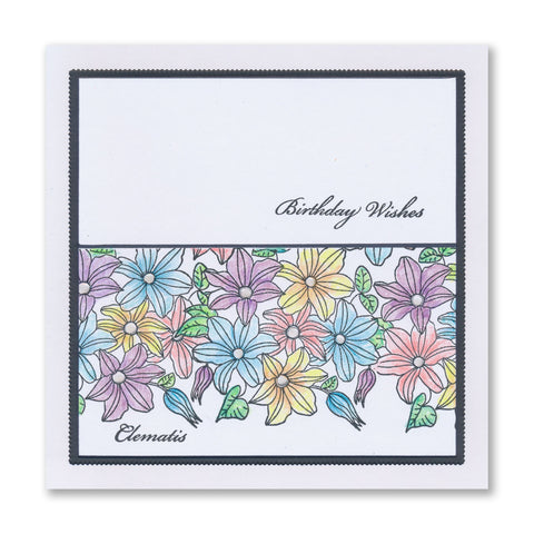 Linda's Agapanthus A6 Stamp & Mask Set