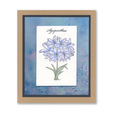 Linda's Agapanthus A6 Stamp & Mask Set