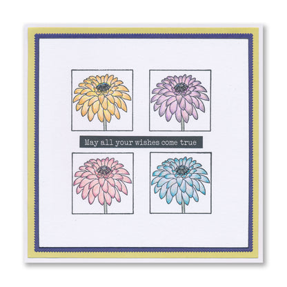 Jayne's Floral & Christmas Sampler A4 Stamp Set Duo