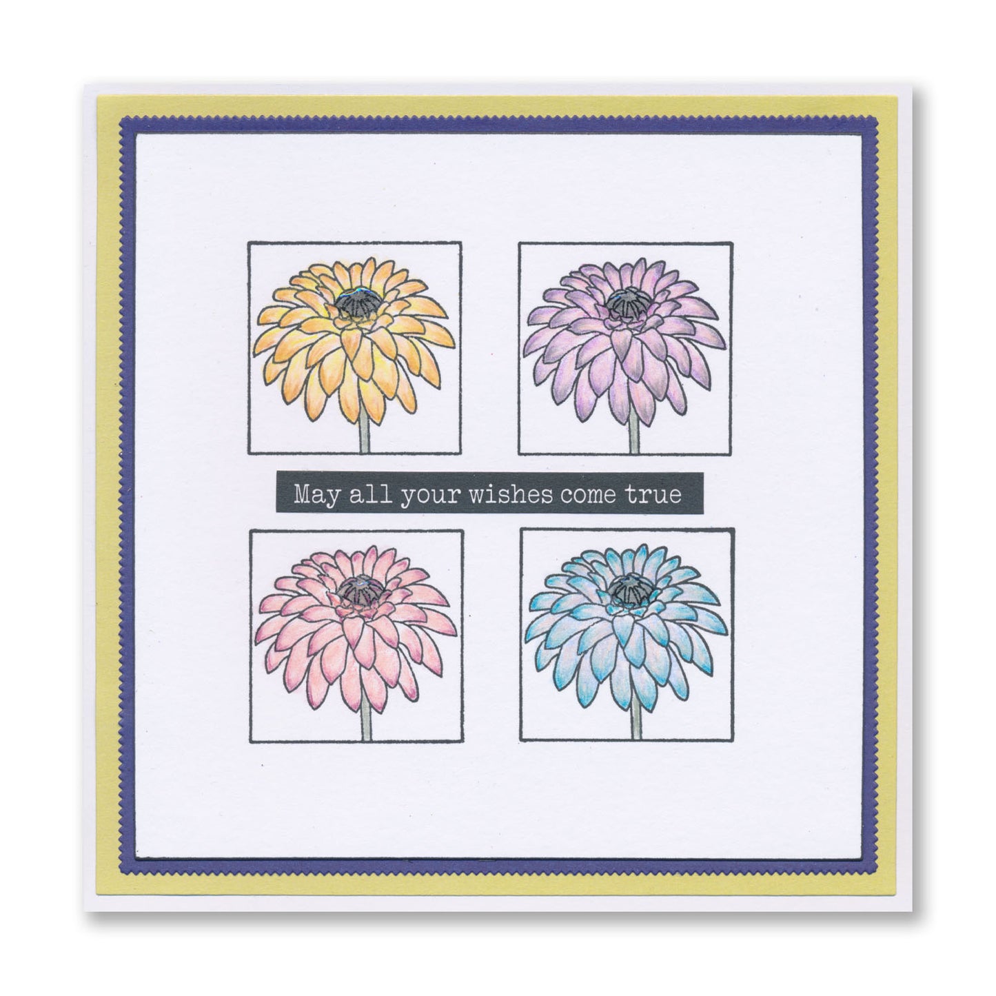 Jayne's Floral Sampler A4 Stamp Set
