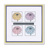 Jayne's Floral Sampler A4 Stamp Set