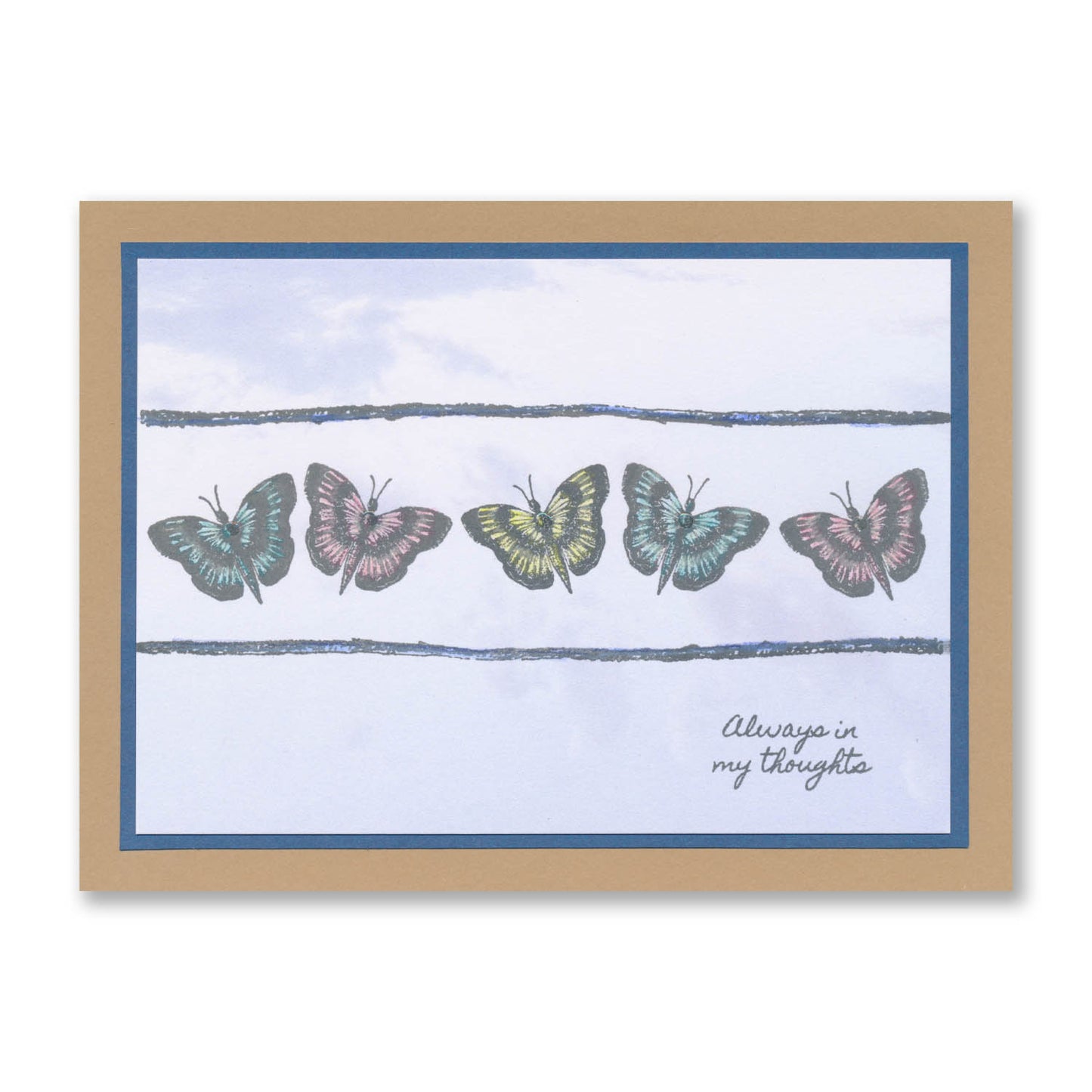 Barbara's Dotted Butterflies A5 Stamp Set