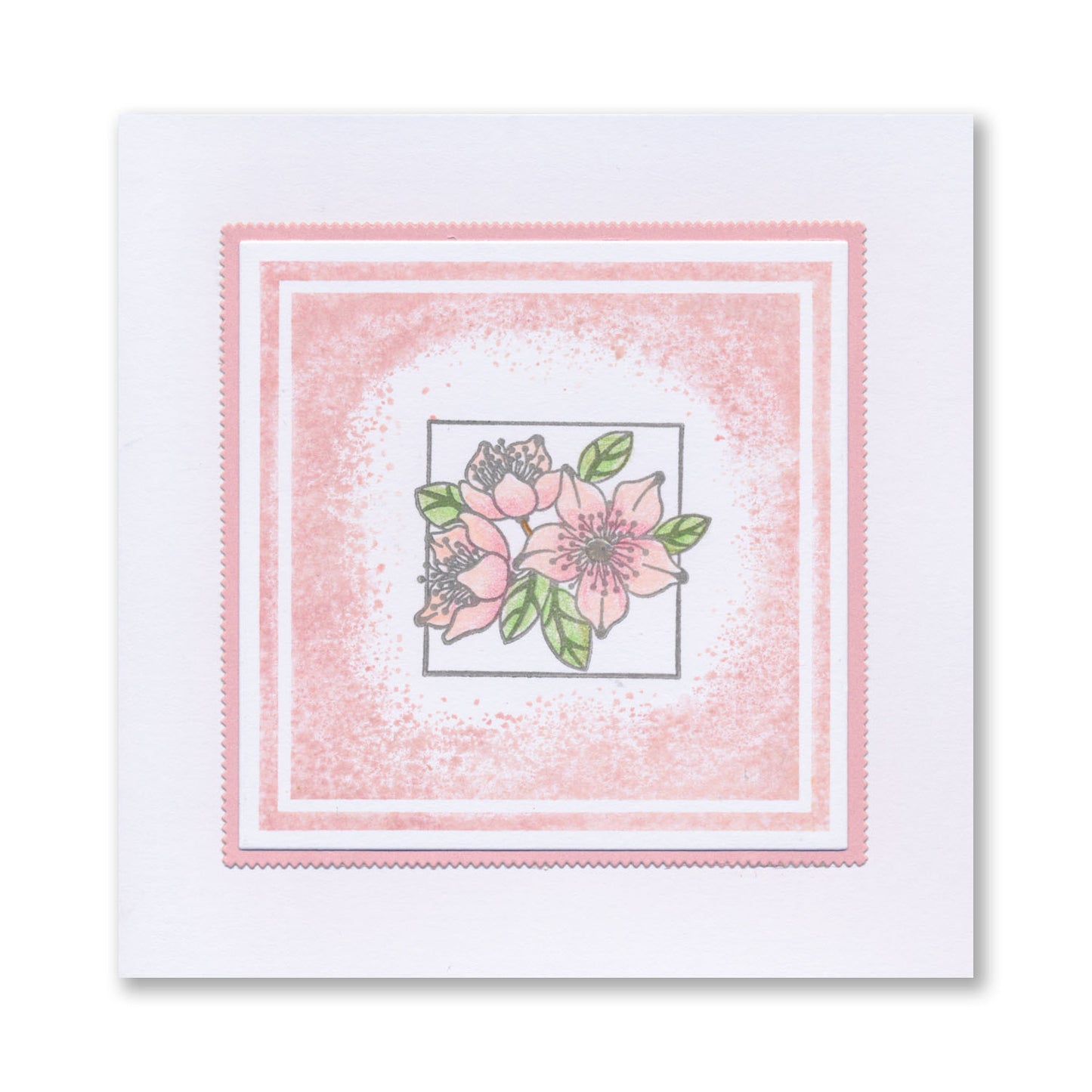 KISS by Clarity - Tina's Flowers Sampler A4 Stamp Set