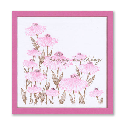 Barb's SHAC Dancing Girls, Dotted Blooms & Sentiments Stamp Collection