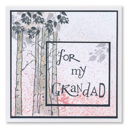 Word Chain 30 - In-Laws et al Stamp Set